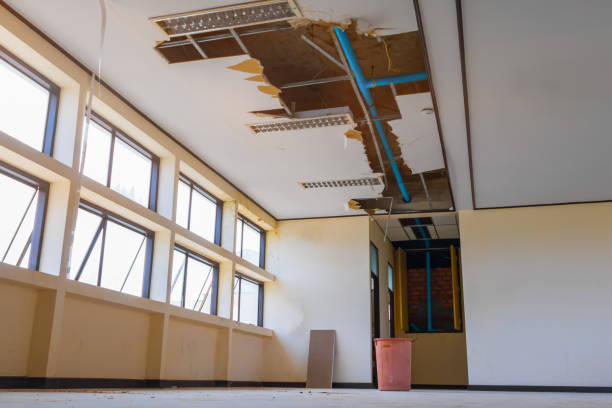 Best Local water damage restoration  in Montgomery, PA