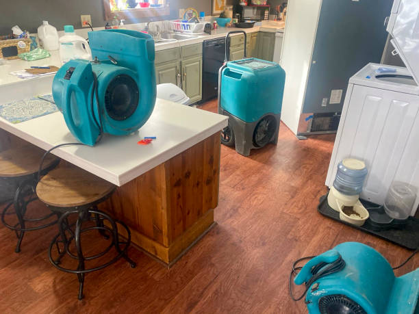 Best Carpet water damage restoration  in Montgomery, PA