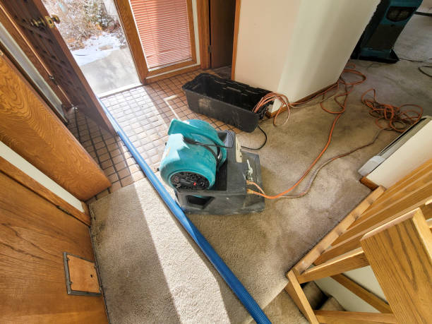 Best 24/7 water damage repair  in Montgomery, PA