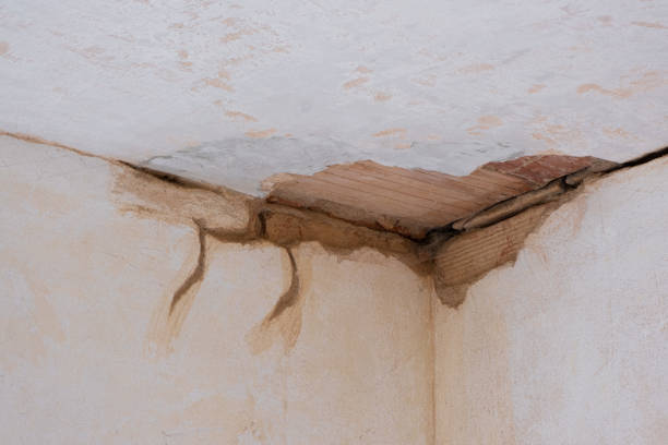 Best Fire Damage Restoration  in Montgomery, PA