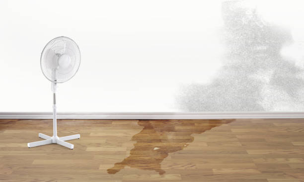 Best Water damage restoration specialists  in Montgomery, PA