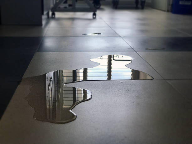Best Water damage cleanup near me  in Montgomery, PA