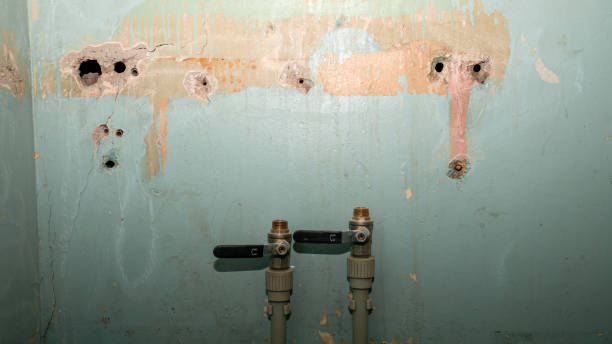 Best Flood damage cleanup  in Montgomery, PA