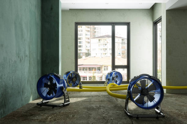 Best Flood restoration services  in Montgomery, PA